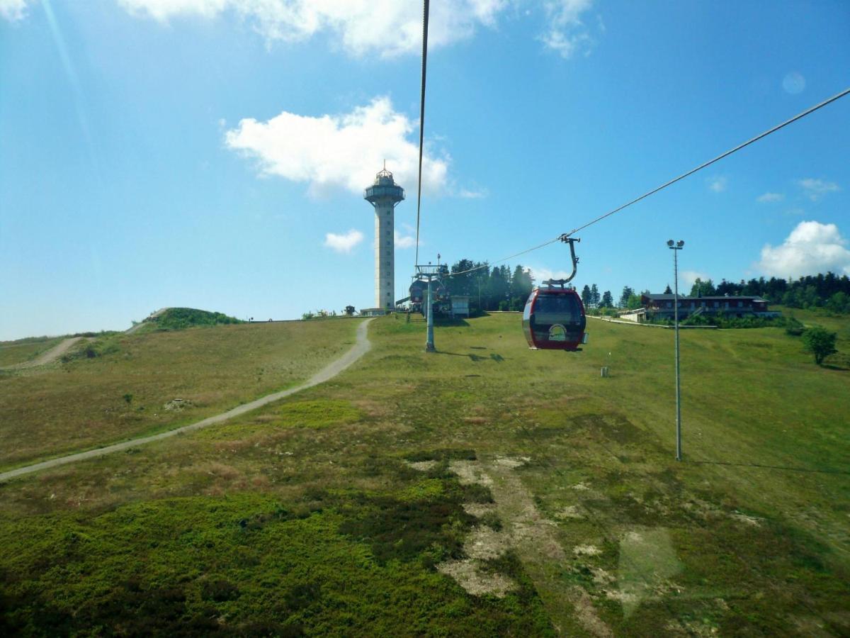 Quartier12 "Ski In & Bike Out" - Fewo Berg Willingen  Kültér fotó